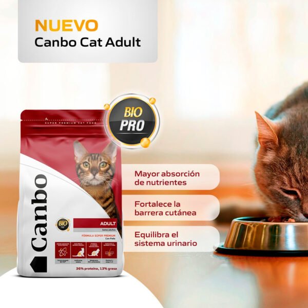 Comida para Gatos Adultos Canbo Cat Pollo 1 kg - Imagen 2