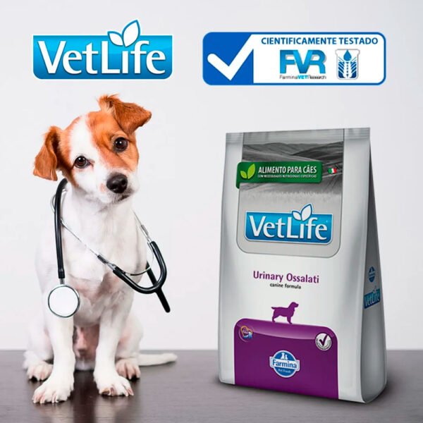 Comida para Perro Urinario Vet Life Urinary Ossalati 2 kg - Imagen 3