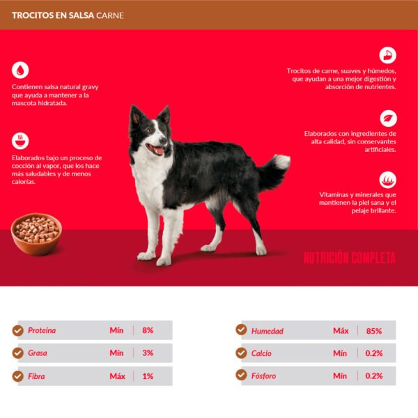 Pack x5 Comida Húmeda Perro Ricocan Trocitos de Carne 100gr - Imagen 3
