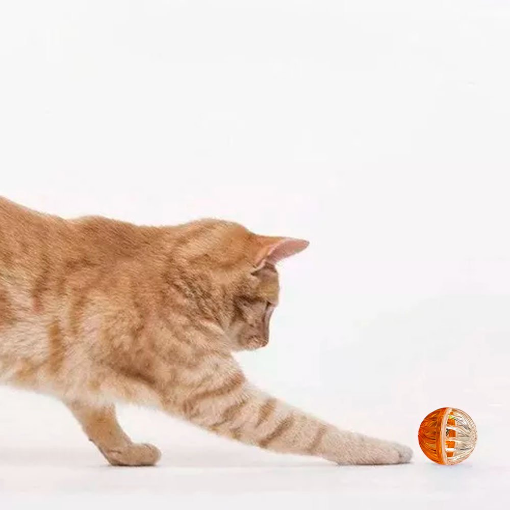 Juguete de Pelota Transparente para Gato 2 Unidades 3.5cm - Imagen 3