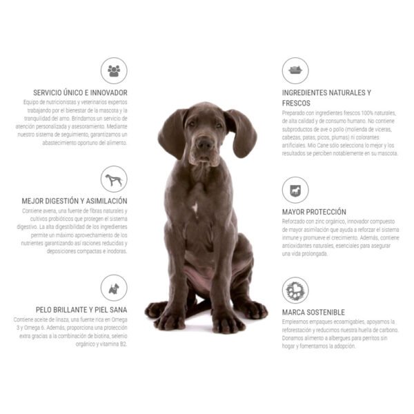 Pack x2 Comida para Perro Adulto Mio Cane Premium 15 kg - Imagen 2