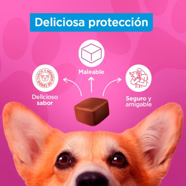 Antipulga Masticable Proteggo 1M para Perros de 10 - 20 kg - Imagen 3