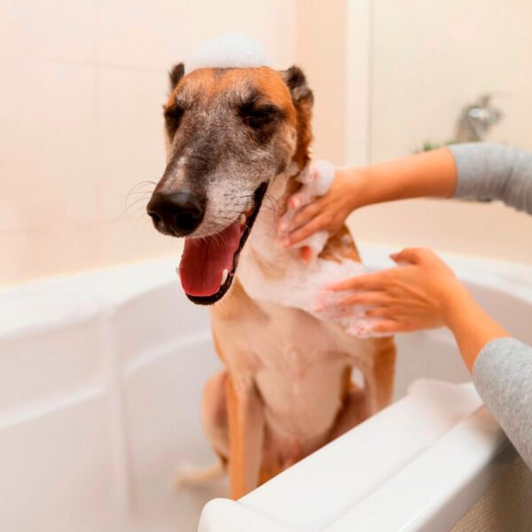Shampoo para Perros Fresh Can Piel Sensible 25 unid 750 ml - Imagen 4
