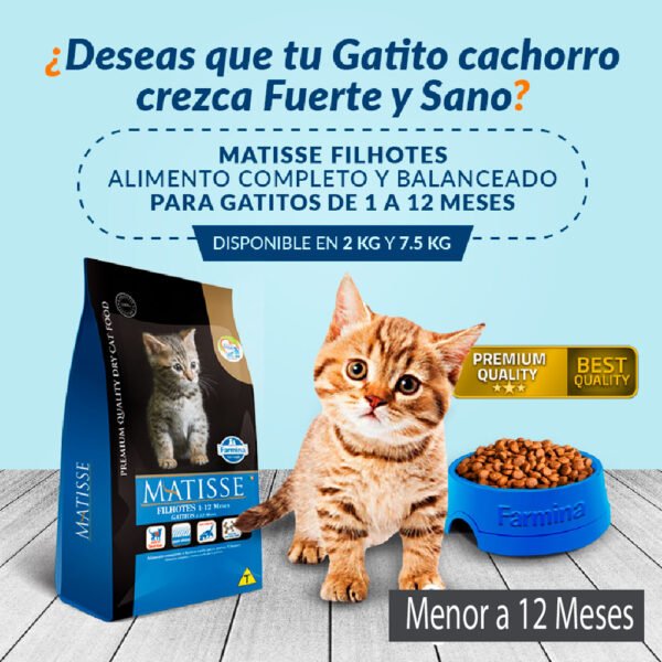 Pack x2 Comida Gatitos Matisse Filhotes 1 a 12 meses 7.5 kg - Imagen 3