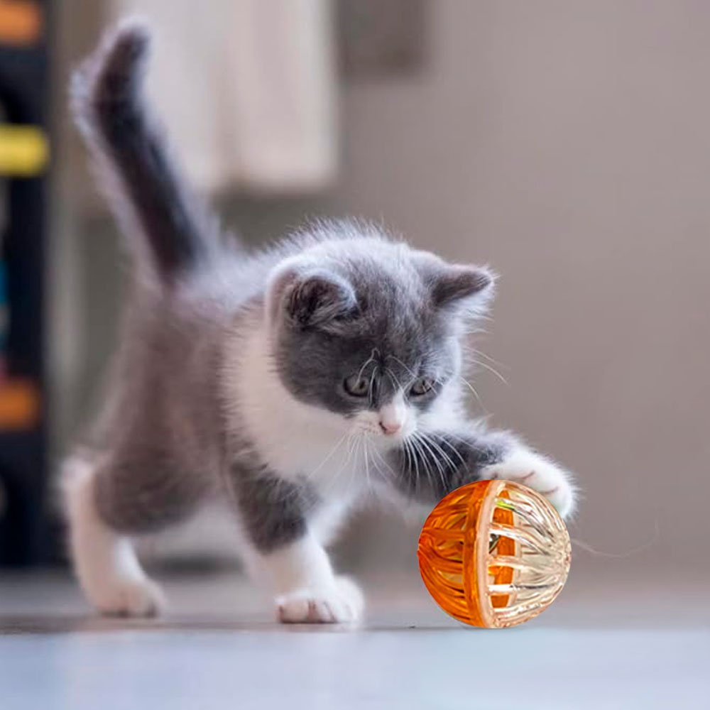 Juguete de Pelota Transparente para Gato 2 Unidades 3.5cm - Imagen 4