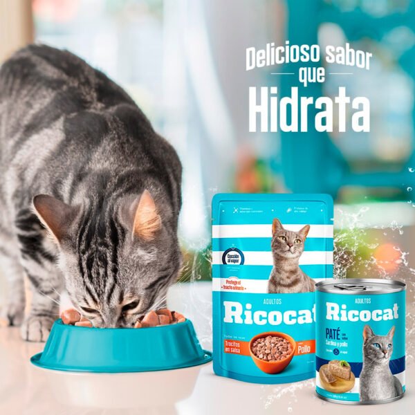 Pack Caja x15 Comida Húmeda para Gato Ricocat Marinos 85gr - Imagen 3