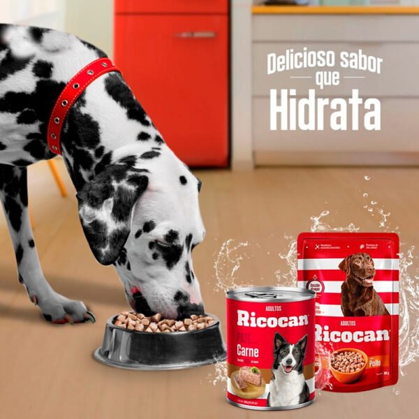Pack Caja x15 Comida Húmeda Perro Ricocan Carne 100gr - Imagen 3