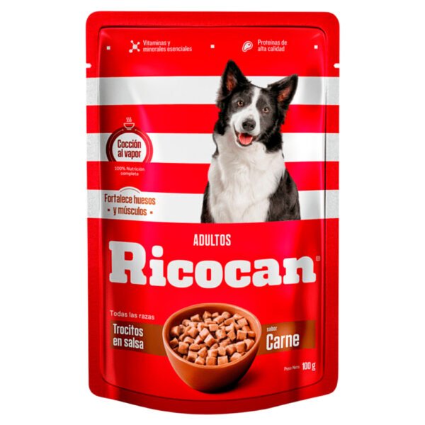 Pack Caja x15 Comida Húmeda Perro Ricocan Carne 100gr - Imagen 2