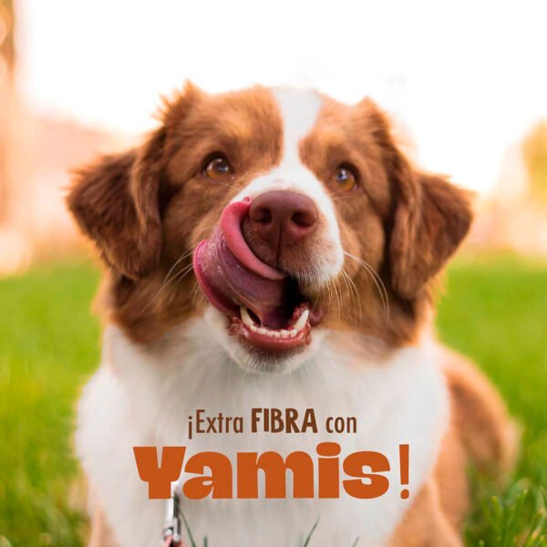 Rollitos Yamis Perros Adultos Carne a la Parilla 80 gr - Imagen 3