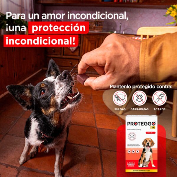 Pack x2 Antipulga Proteggo 3M para Perros de 10 - 20 kg - Imagen 2