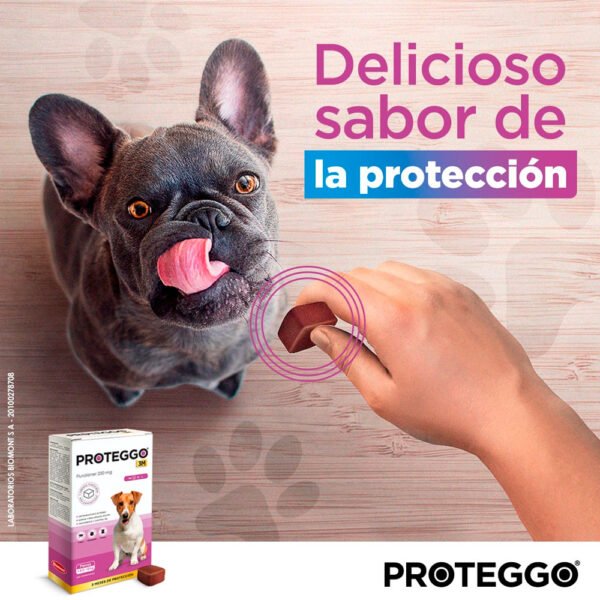 Pack x2 Antipulga Proteggo 3M para Perros de 4.5 - 10 kg - Imagen 2