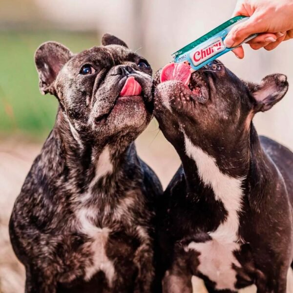 Snack Cremoso Perro Churu Pollo y Queso 6 sobres x 4 tubos - Imagen 4