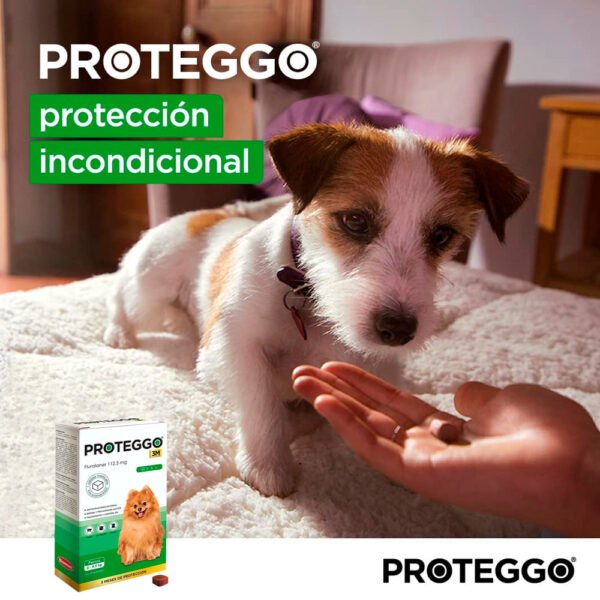 Pack x2 Antipulga Proteggo 3M para Perros de 2 - 4.5 kg - Imagen 2