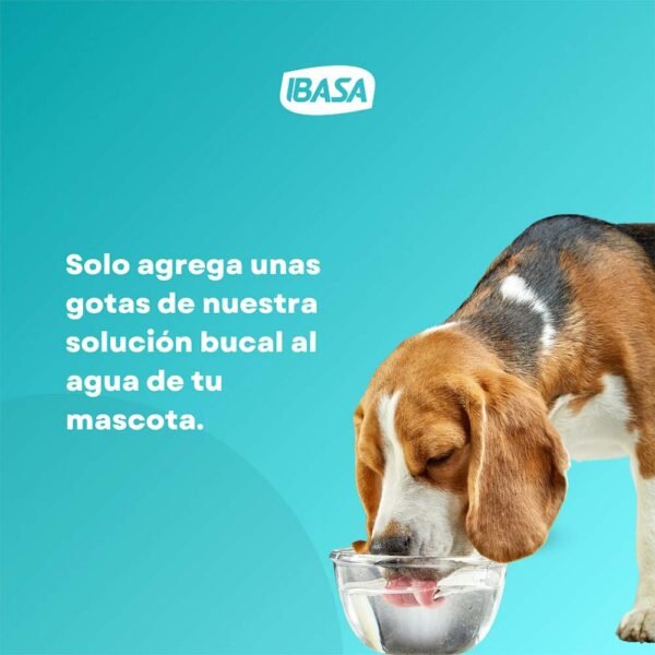 Solución Bucal para Agua Ibasa Perros y Gatos 200ml - Imagen 5