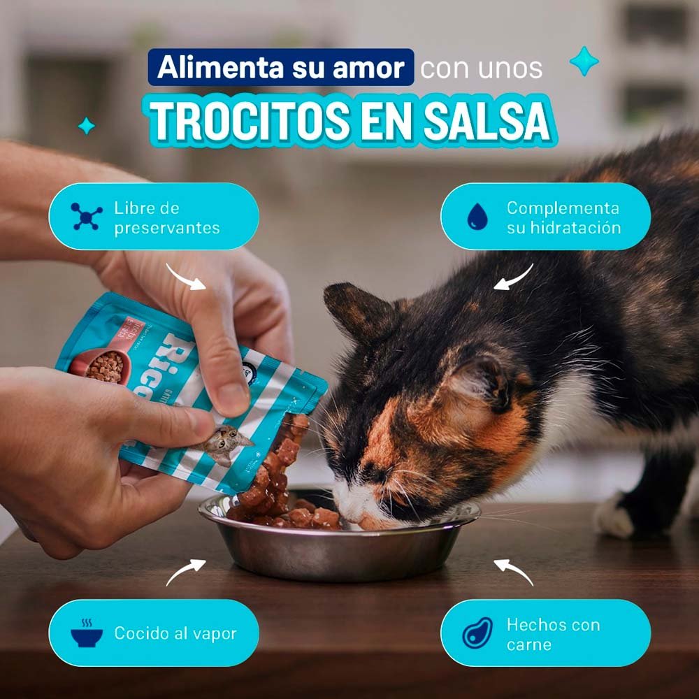 Comida Húmeda para Gato Ricocat Filetitos Atún 85gr - Imagen 2