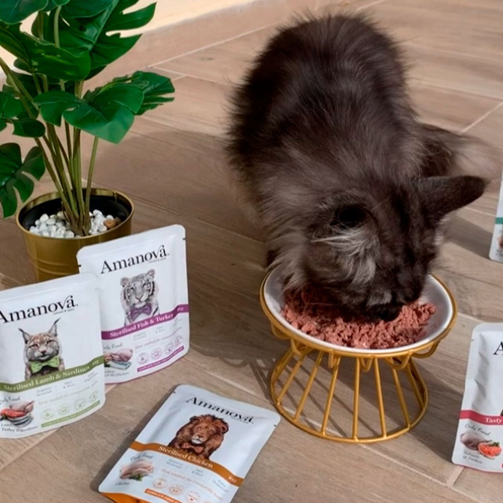 Comida Húmeda para Gato Esterilizado Amanova Pollo 85gr - Imagen 4