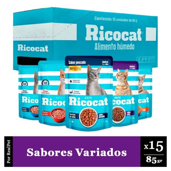 Pack Caja x15 Comida Húmeda Ricocat Varios Sabores 100gr